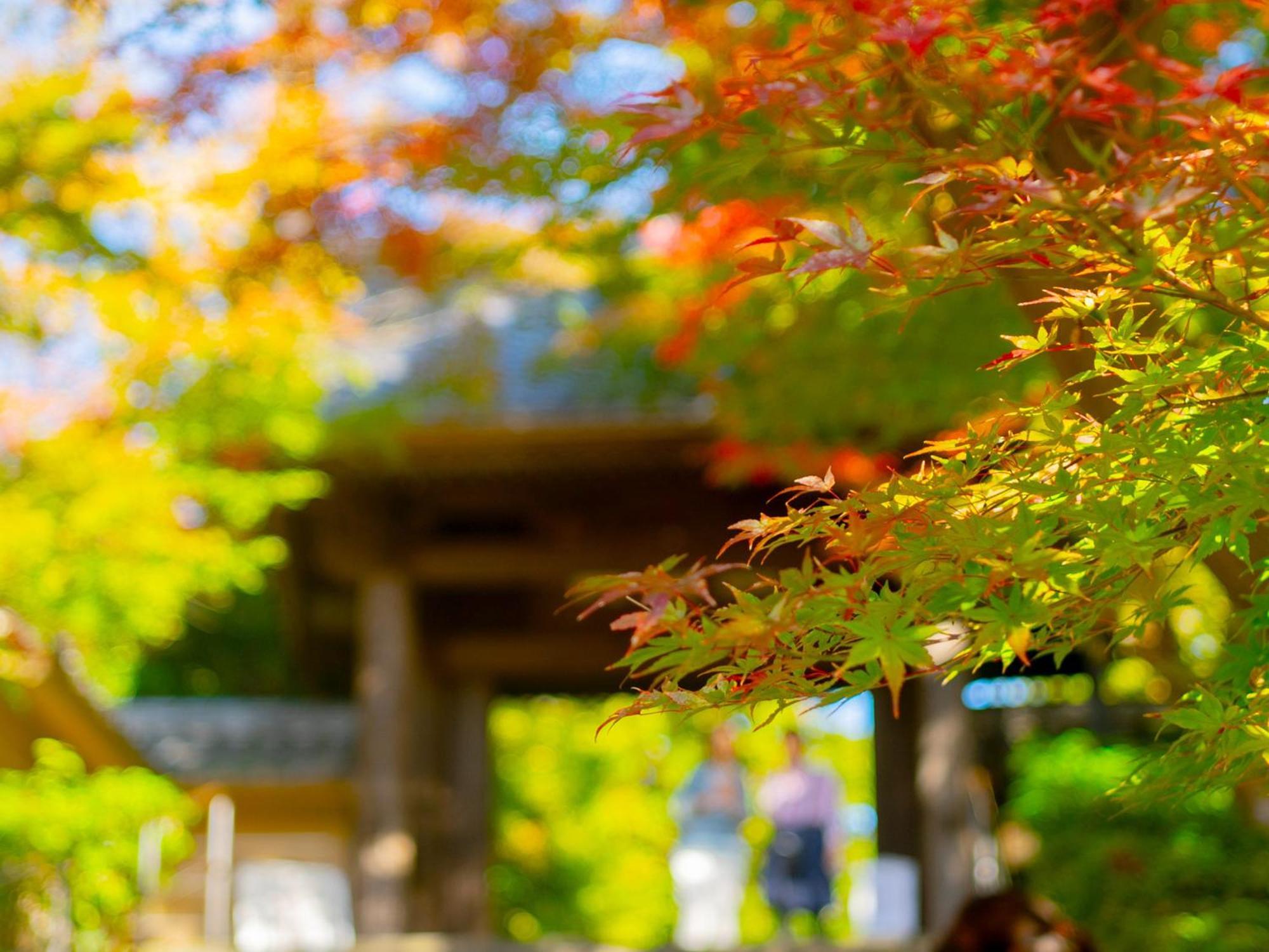 Hotel Kita-Kamakura 520 Exterior foto