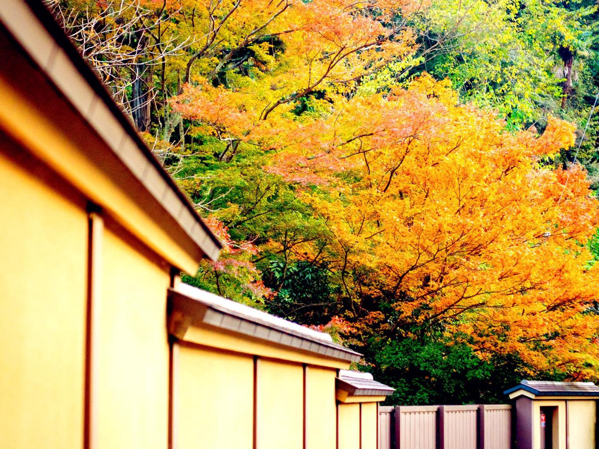 Hotel Kita-Kamakura 520 Exterior foto